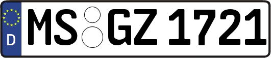 MS-GZ1721