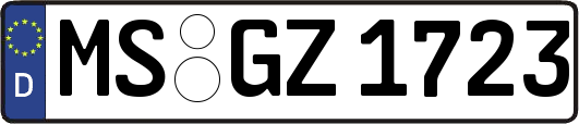 MS-GZ1723