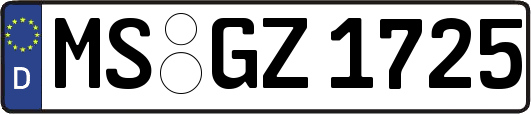 MS-GZ1725