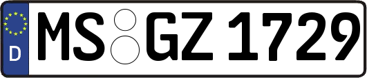 MS-GZ1729