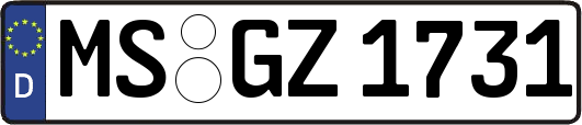 MS-GZ1731