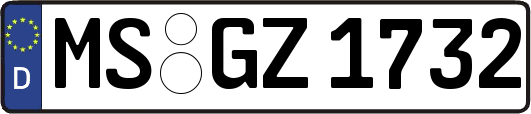 MS-GZ1732