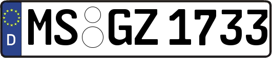 MS-GZ1733