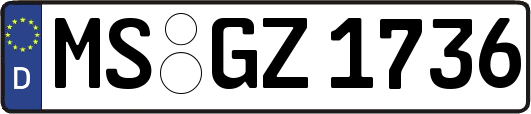 MS-GZ1736