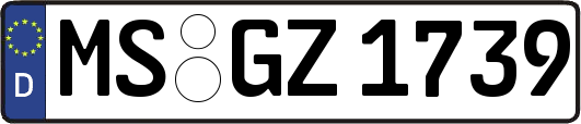 MS-GZ1739