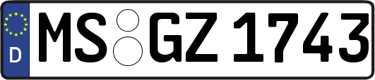 MS-GZ1743