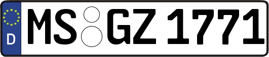 MS-GZ1771