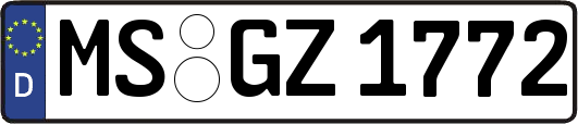 MS-GZ1772