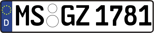MS-GZ1781