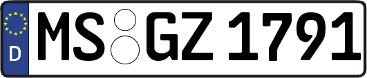 MS-GZ1791