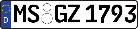 MS-GZ1793
