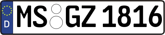 MS-GZ1816