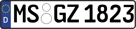 MS-GZ1823