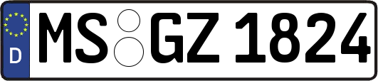 MS-GZ1824