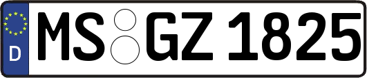 MS-GZ1825