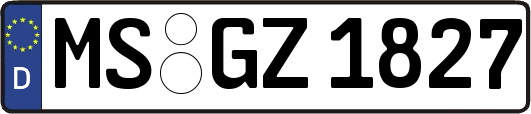 MS-GZ1827