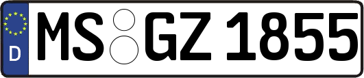 MS-GZ1855