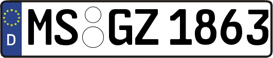 MS-GZ1863