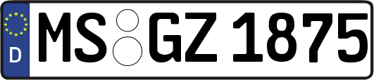 MS-GZ1875