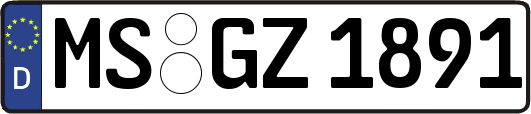 MS-GZ1891