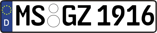 MS-GZ1916