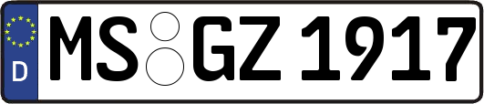 MS-GZ1917