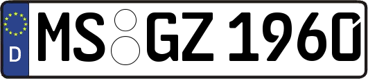 MS-GZ1960