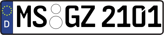 MS-GZ2101