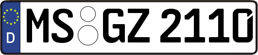 MS-GZ2110