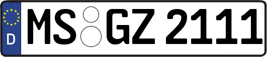 MS-GZ2111