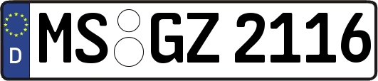MS-GZ2116