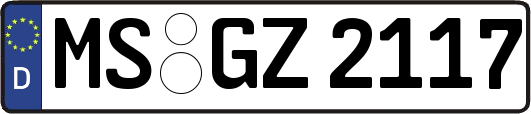 MS-GZ2117