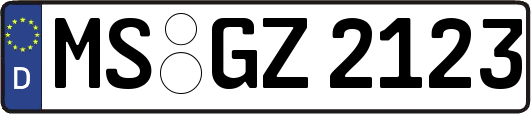 MS-GZ2123