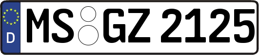MS-GZ2125
