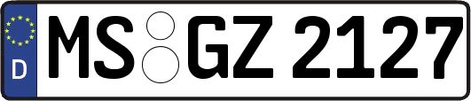 MS-GZ2127