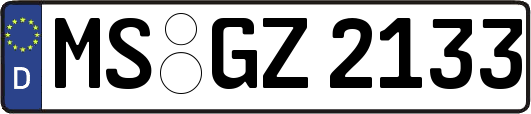 MS-GZ2133