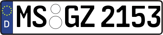 MS-GZ2153