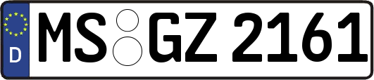 MS-GZ2161