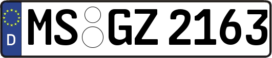 MS-GZ2163