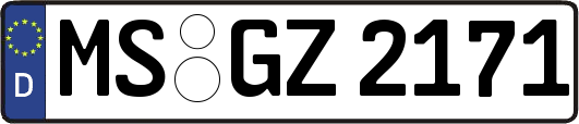 MS-GZ2171