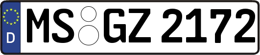 MS-GZ2172