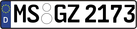 MS-GZ2173