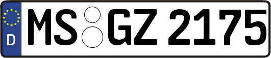 MS-GZ2175