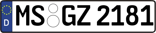 MS-GZ2181