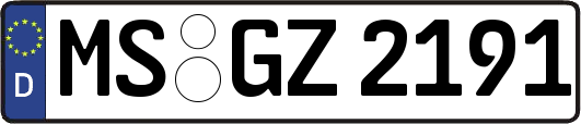 MS-GZ2191
