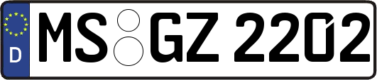 MS-GZ2202