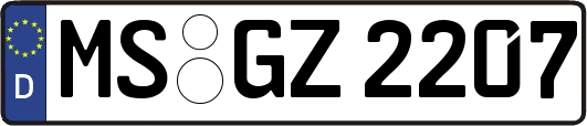 MS-GZ2207