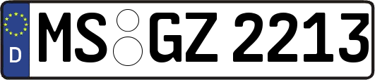MS-GZ2213