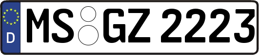 MS-GZ2223