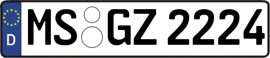 MS-GZ2224